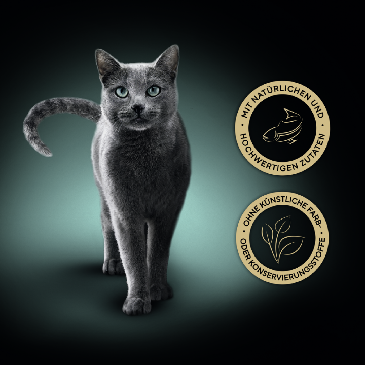 Sheba Katzen-Nassfutter Filets mit Weißfisch